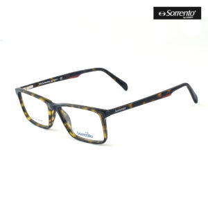 Sorrento SR 880 C4 1