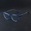 Life Line 8041 Blue Transparent Eyeglasses For Women