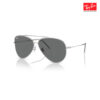 Ray-Ban Aviator Reverse RBR0101S 003 Sunglasses