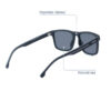 Ash Stylish Sunglasses LS 5662