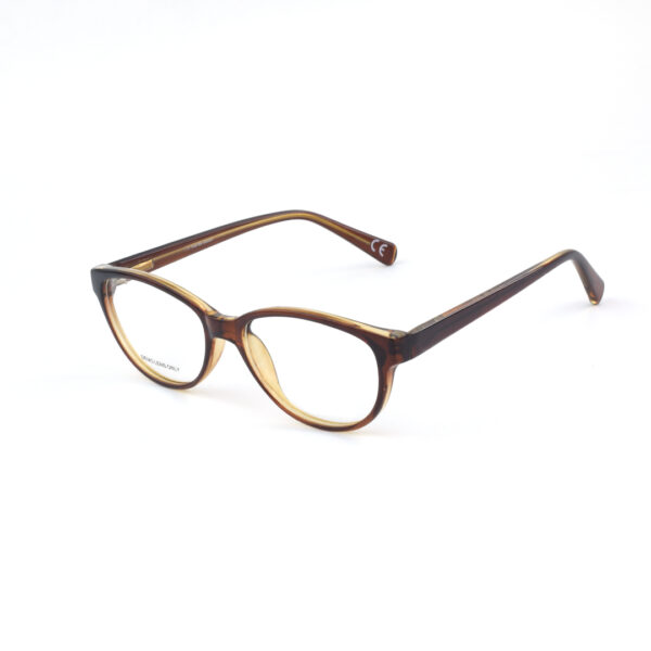 Foster Grant 201 0113 Brown Eyeglasses for Women