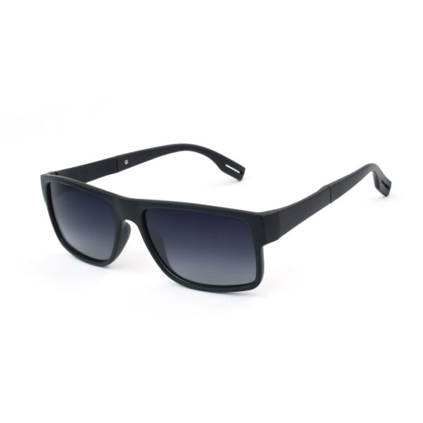 Stylish Polarized Sunglass HBS 5648