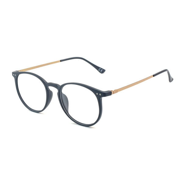 Stylish Metal Round OT 300 0209 Eyglasses