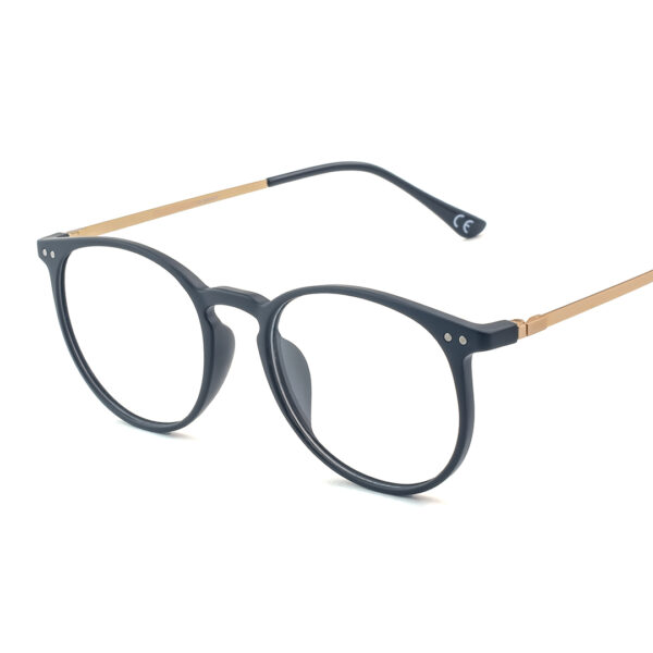 Stylish Metal Round OT 300 0209 Eyglasses