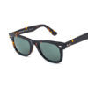 Stylish Havana Sunglasses RBS 5673