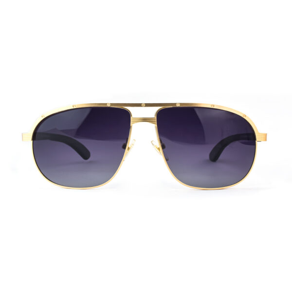 Gold Purple Metal Double Bridge Sunglasses RBS 5674