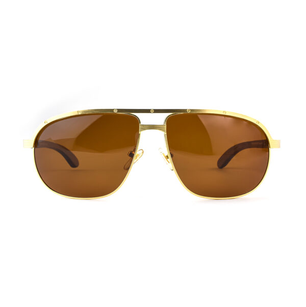 Gold Brown Metal Double Bridge Sunglasses RBS 5675