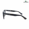 Lacoste L6036S 230 Havana Wayfarer Sunglasses