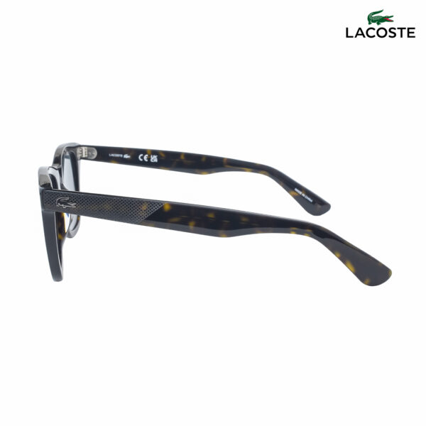 Lacoste L6036S 230 Havana Wayfarer Sunglasses