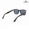 Lacoste L6036S 230 Havana Wayfarer Sunglasses