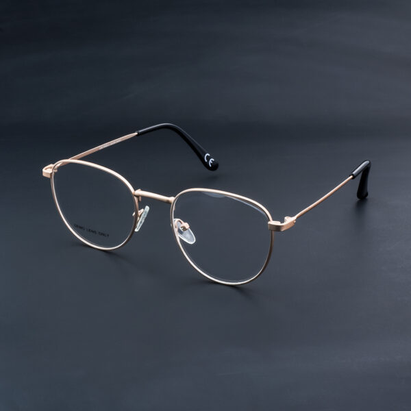 OPH 314 0909 GLD Round Eyeglasses