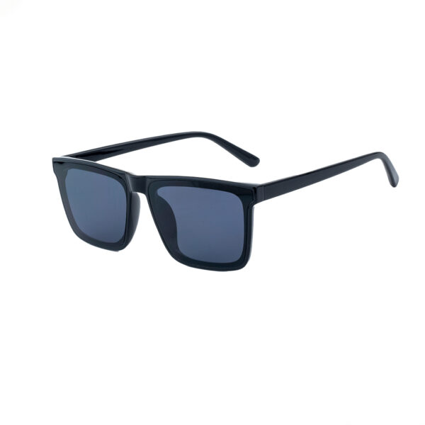 Square 2965 Sunglasses For Men