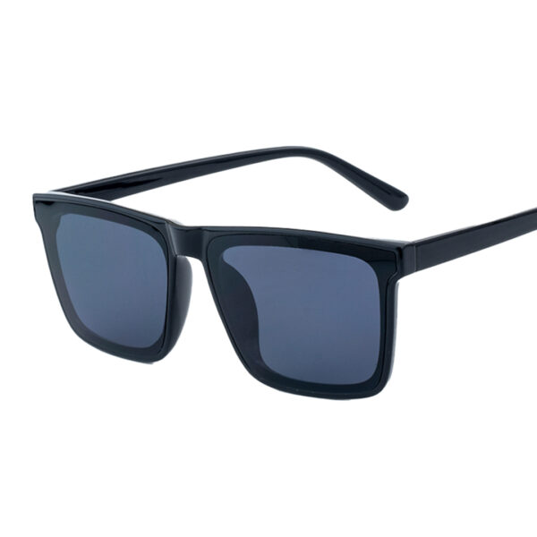 Square 2965 Sunglasses For Men