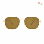 Stylish Solid-Brown Sunglasses 001/33 3N
