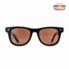 Polarized Wayfarer Sunglasses 5652P Brown