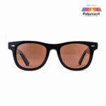 Polarized Wayfarer Sunglasses 5652P Brown