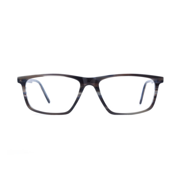 Sea Shell Rectangle Eyeglasses A2322 C365