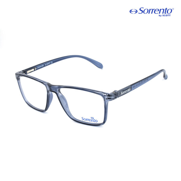 Sorrento-SR-11025-C2 eyeglasses