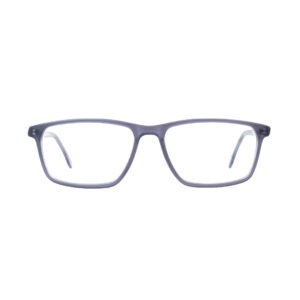 Translucent Grey Eyeglasses F88272 C4