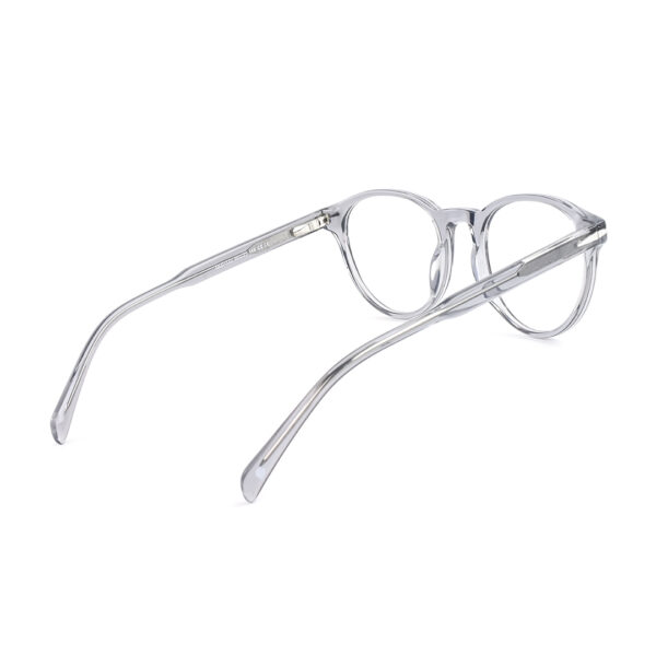 Stylish Transparent Round Eyeglasses  OLD 1122 C2