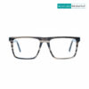 Brown Havana A2519 C212 Eyeglasses