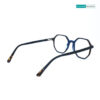 Stylish Hexagonal Tri-Color A2493 C121 Eyeglasses