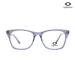 Stylish Cat-Eye Grey Transparent Eyeglasses For Women  AC31117 C6