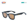 Stylish Havana 0502 C6 Wayfarer Sunglasses