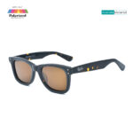 Stylish Havana 0502 C6 Wayfarer Sunglasses