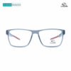 Armadillo A 2039 Grey Eyeglasses