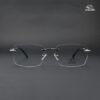 ArmaDillo A 2063 C4 Eyeglasses