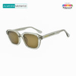 Crystal Brown Polarized Shades 581138 C3 Sunglasses