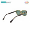 Crystal Olive Polarized Shades 581138 C4