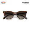 Polaroid Sunglasses PLD4107/S 086LA