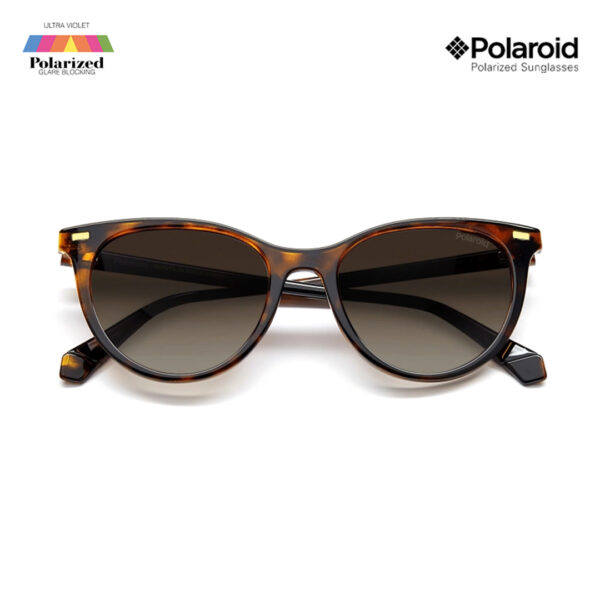 Polaroid Sunglasses PLD4107/S 086LA