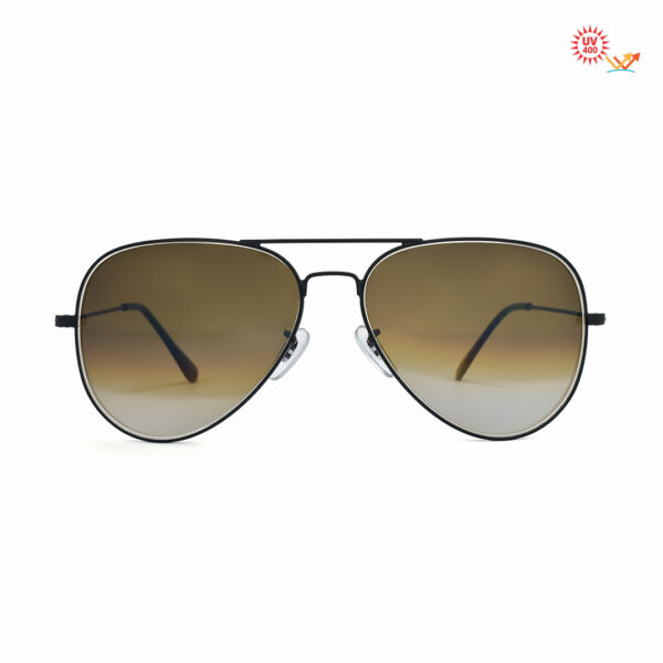 Black-Brown Aviator Sunglasses RBS 3026