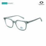 Optikart Transparent Grey Eyeglasses 28126 C2
