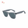 Transparent Ash Wayfarer Sunglasses 2140 6773/R5