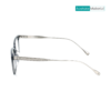 BIRCH_DITA_Transparent_Ash_and_Silver_Square_Eyeglasses
