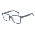Dark Transparent Ash Eyeglasses S9019 C4