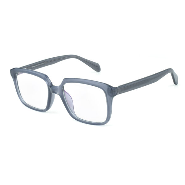 Dark Transparent Ash Eyeglasses S9019 C4