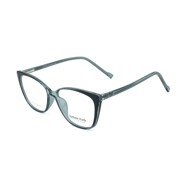CL5505_ash