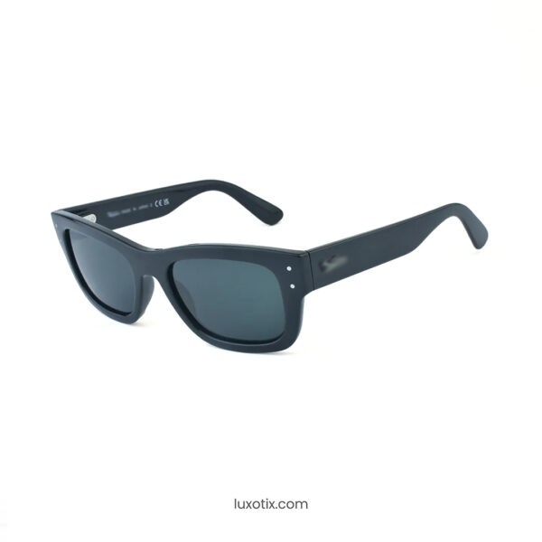 Black Sunglasses RBS7683S 901/48