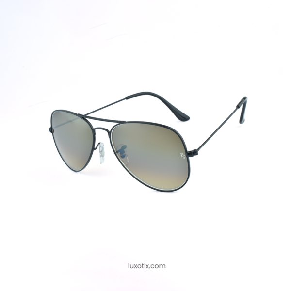Brown Black Sunglasses RBS 3025