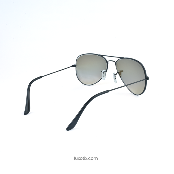 Brown Black Sunglasses RBS 3025
