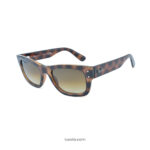 Brown Sunglasses RBS7683S 1402/21