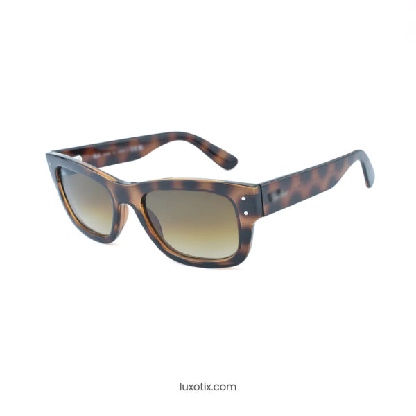 Brown Sunglasses RBS7683S 1402/21