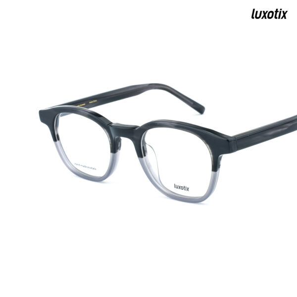 Luxotix Eyeglasses YM 031 C10