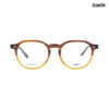 Luxotix Brown Eyeglasses YM 040 C13